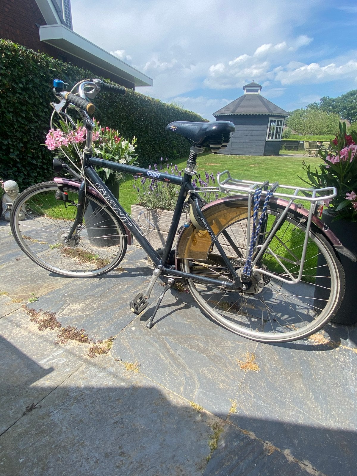 Giant freerider Light - herenfiets, Ophalen, Gebruikt, Versnellingen, Giant