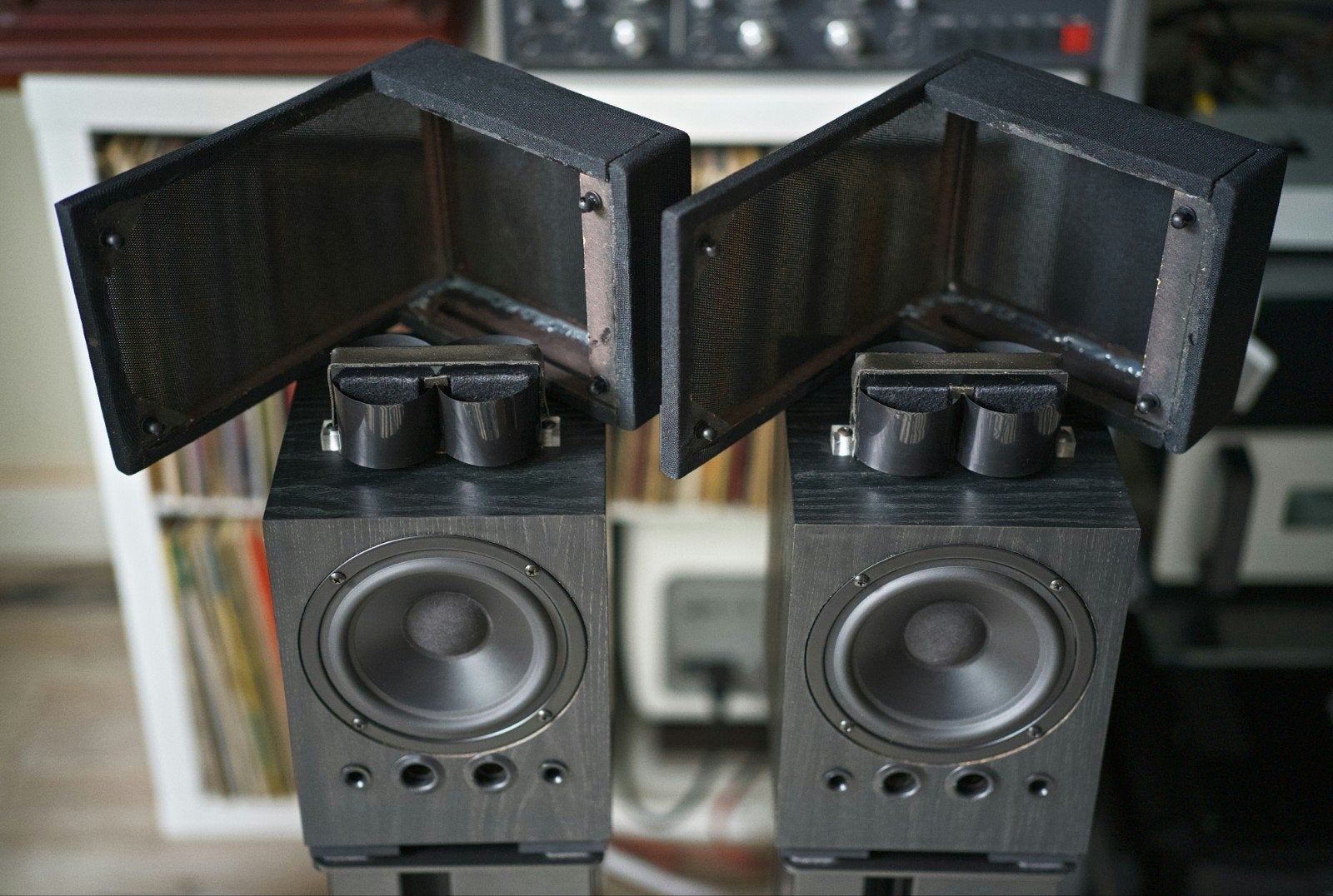Zeldzame Linaeum LFX met 360° ribbon en Peerless midbass