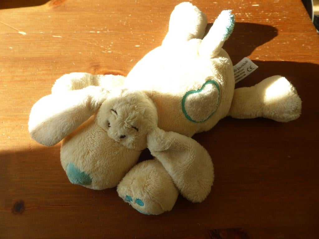 Hond van de Anna Club (M), Overige typen, Ophalen of Verzenden, Zo goed als nieuw, Middelgroot (20 tot 80 cm)