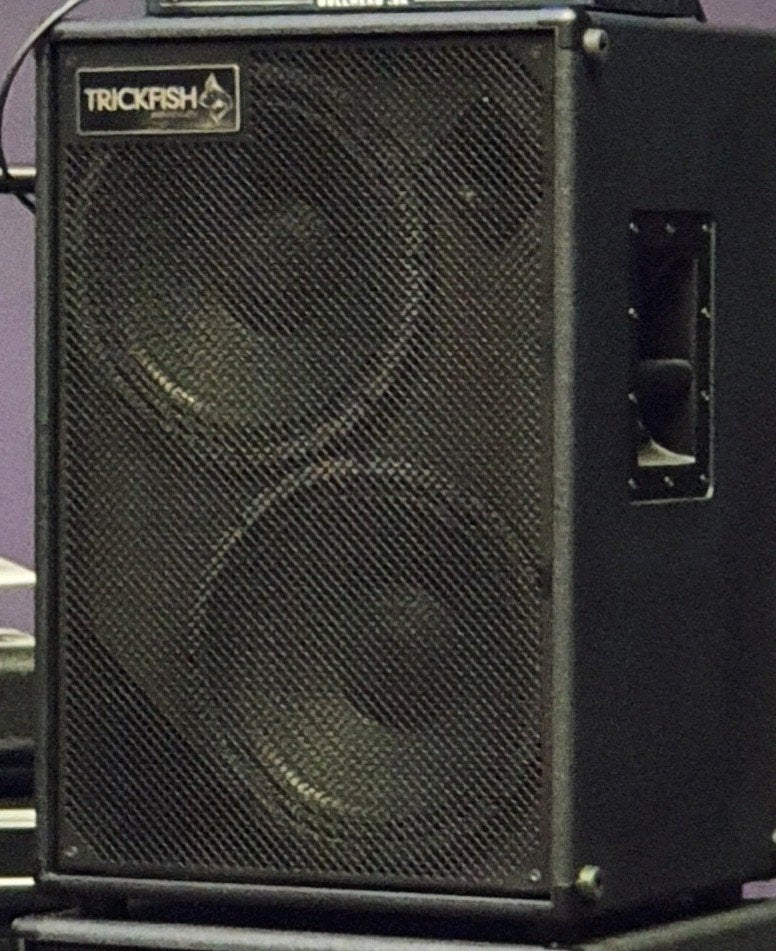 Trickfish TF212V basgitaar cabinet, Ophalen, Zo goed als nieuw, Basgitaar, 100 watt of meer