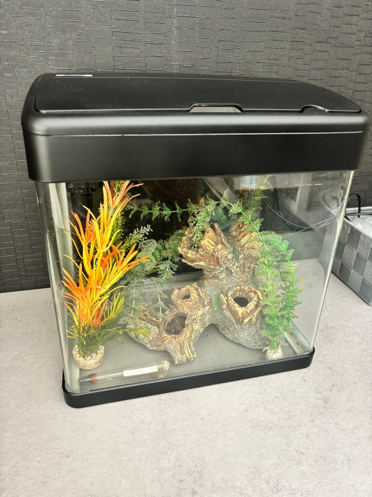 Aquarium met toebehoren, Ophalen, Gebruikt, Leeg aquarium, Inclusief deksel