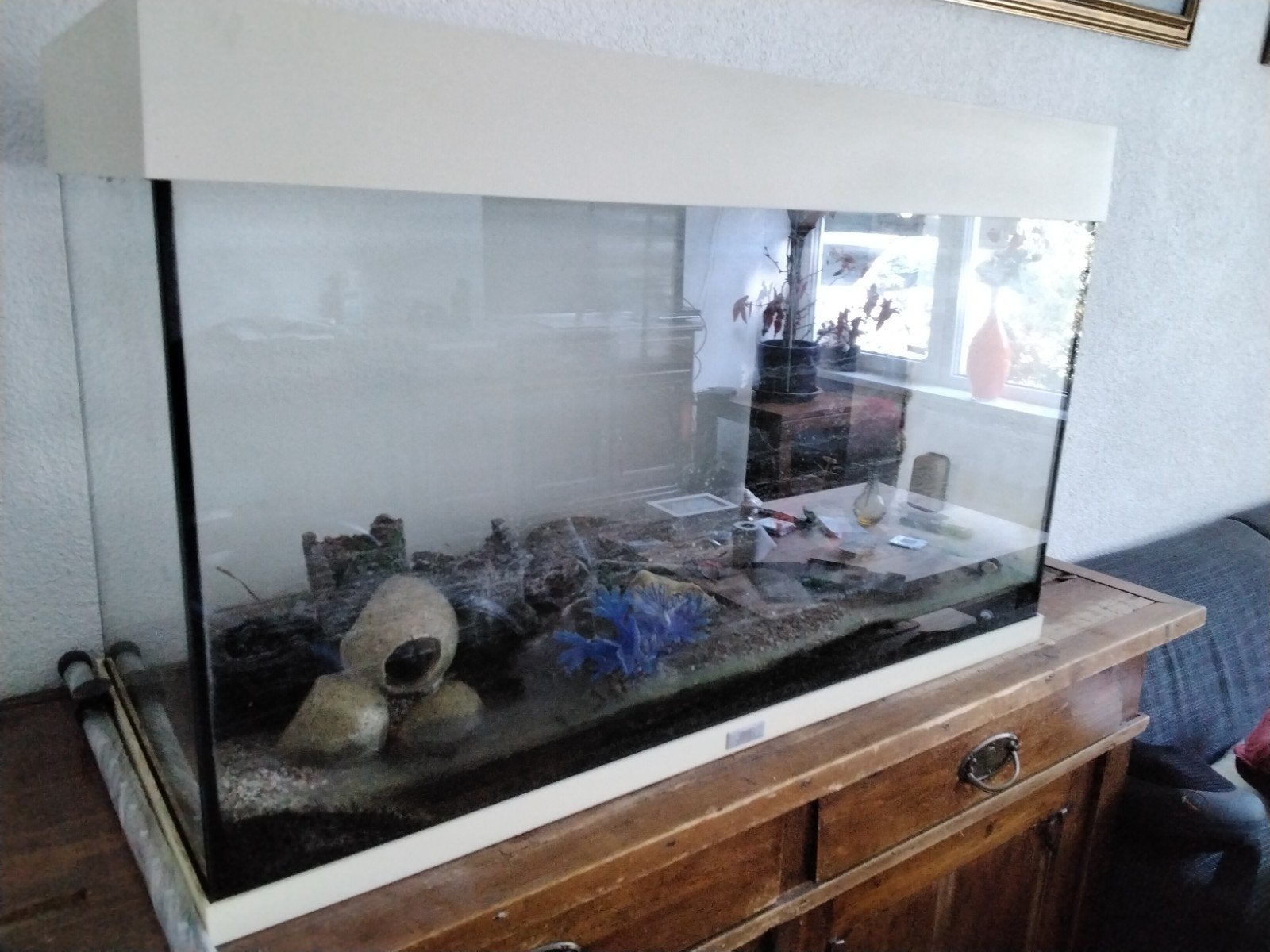 Aquarium Juwel, Dieren en Toebehoren, Ophalen of Verzenden