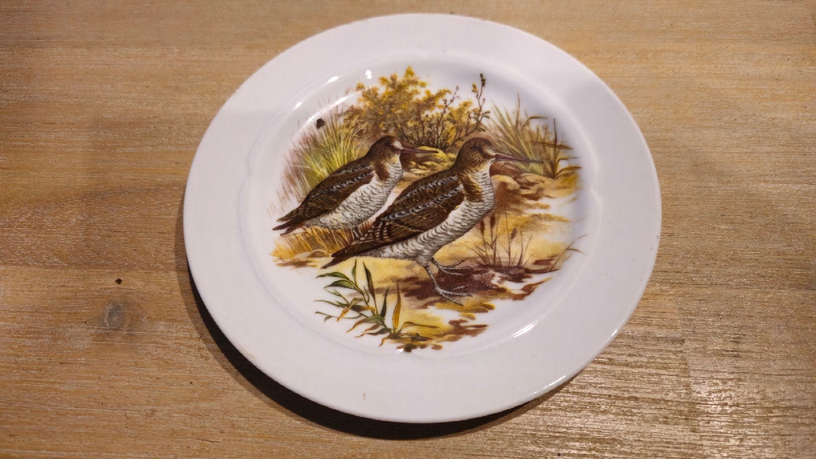 Elesva Holland decoratieve wandplaat met vogels, Ophalen of Verzenden