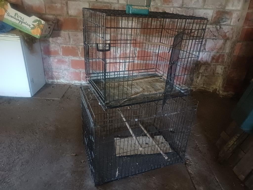 Vogelkooien, duivenkooien, Ophalen, Gebruikt, Metaal, Vogelkooi