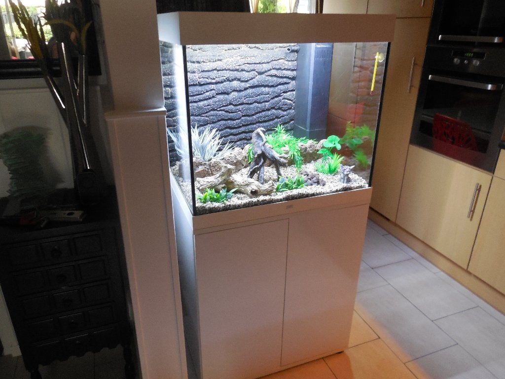 mooie complete juwel lido 200  + toebehoren/inrichting, Ophalen, Gebruikt, Leeg aquarium, Verwarming