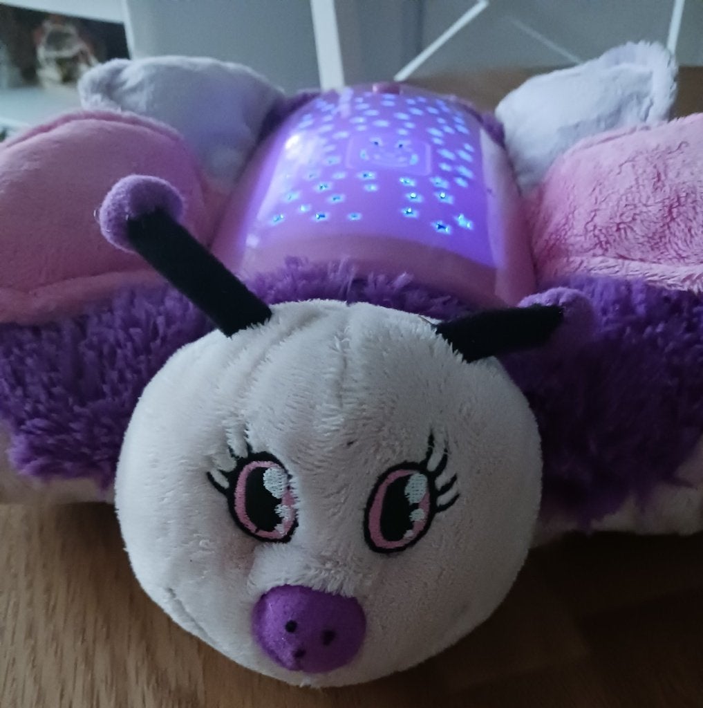 Nachtlampjes Cloud B Pillow Pets- Schildpad (2x) Kapoen (1x), Draadloos, Overige merken, Ophalen of Verzenden, Zo goed als nieuw