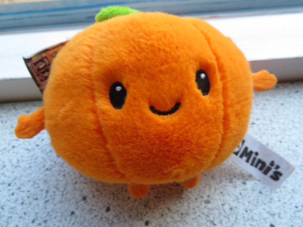 Pien Pompoen van Lidl Mini's zacht oranje velour, Lidl, Oranje, Overige typen, Ophalen of Verzenden