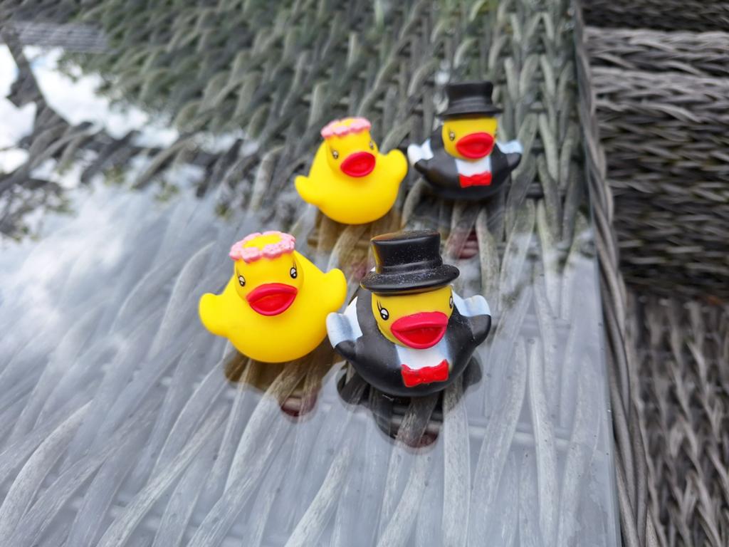 Trouwerij badeendjes, Ophalen of Verzenden, Zo goed als nieuw, Accessoires