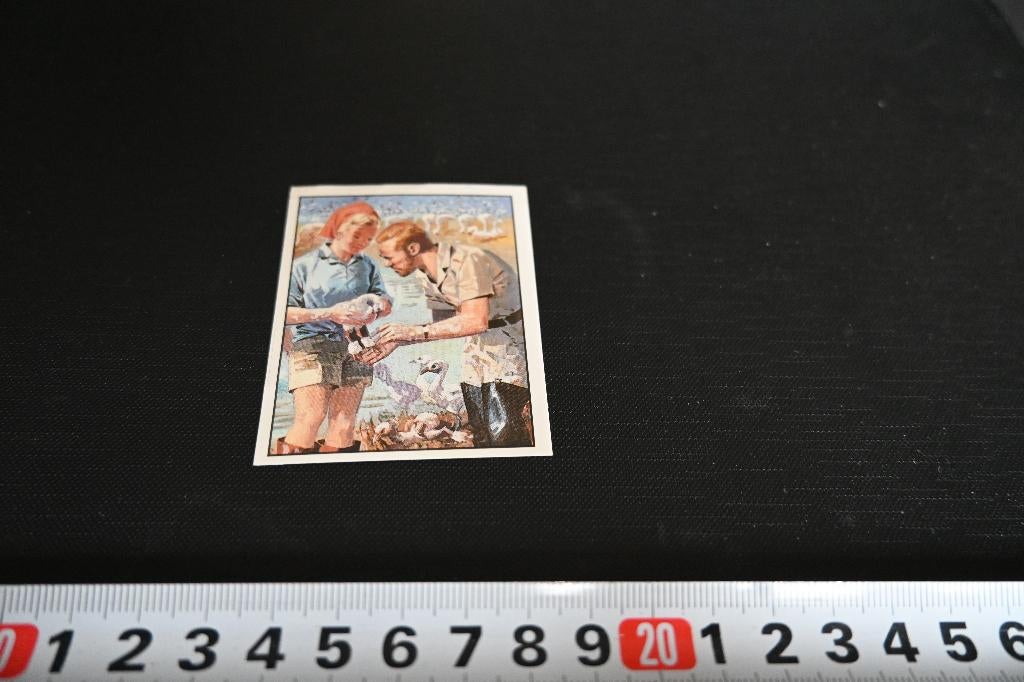sticker PANINI WWF 141  Nature in danger, Ophalen, Zo goed als nieuw