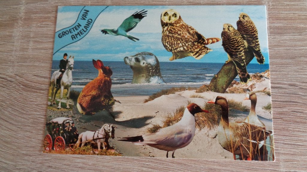 Ameland, Verzenden, 1980 tot heden, Ongelopen, Friesland