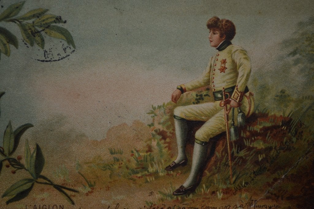 FRANKRIJK 1904 L,AIGLON nAPOLEON II OLIJFTAKKEN, Ophalen of Verzenden, Voor 1920, Gelopen, Sterren en Beroemdheden