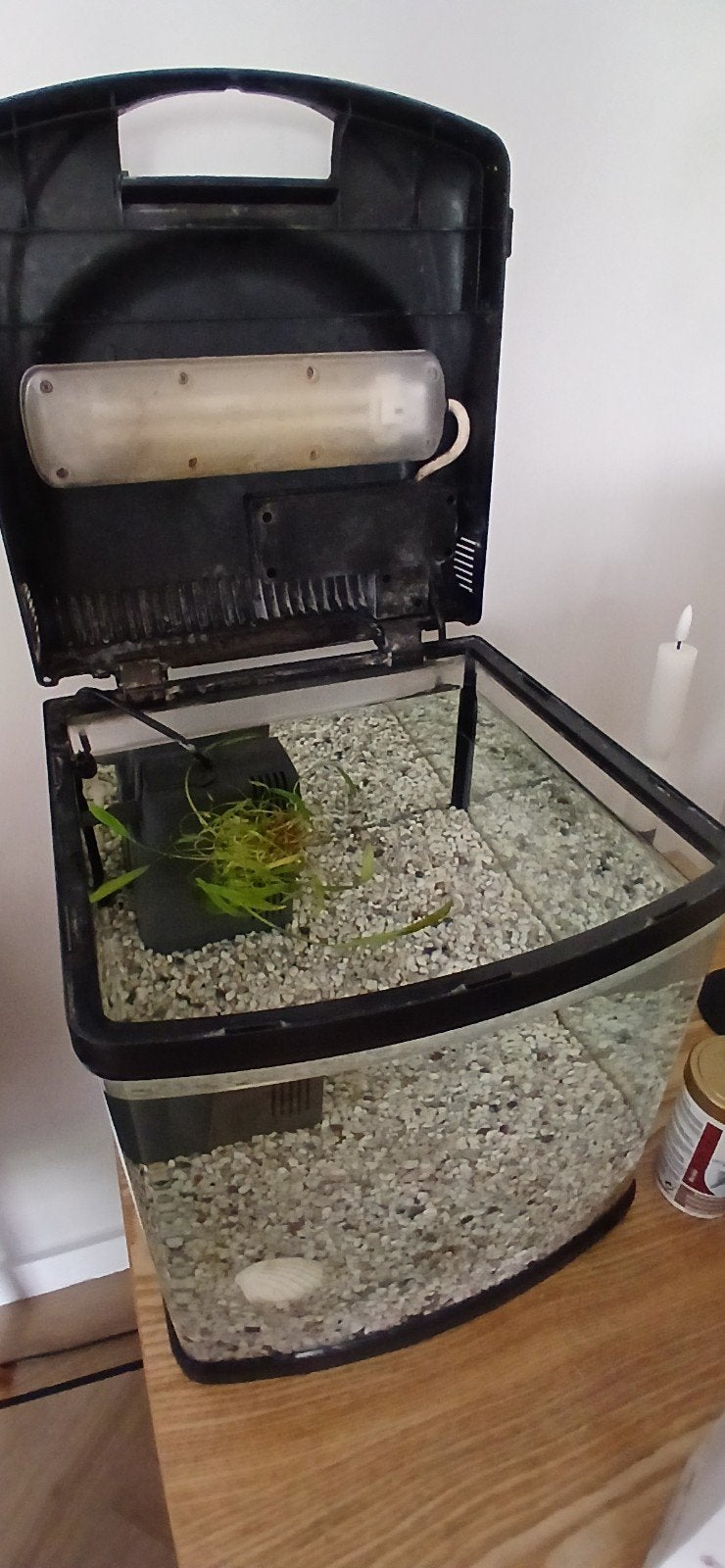 Te koop aquarium voor goudvissen met fluisterstille pomp, Dieren en Toebehoren, Ophalen, Leeg aquarium