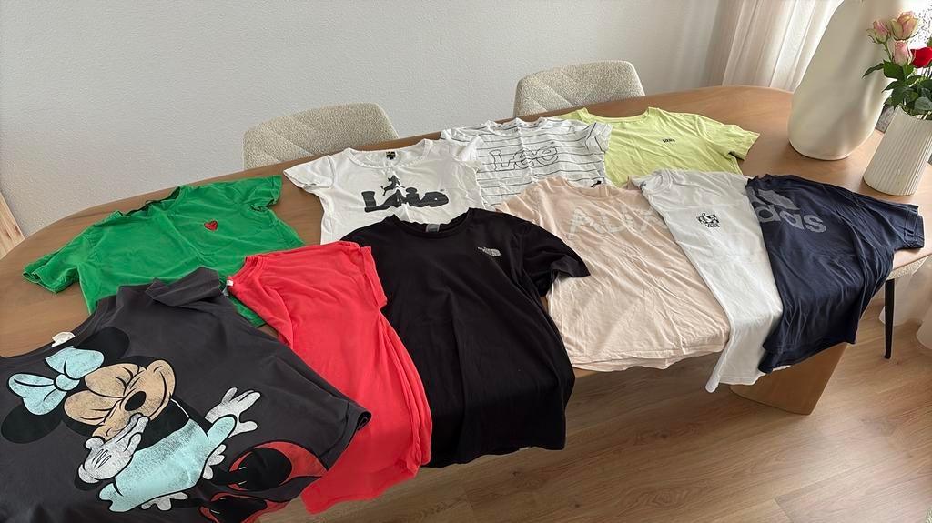 Set dames t-shirts maat L, Overige kleuren, Maat 42/44 (L), Ophalen of Verzenden, Zo goed als nieuw