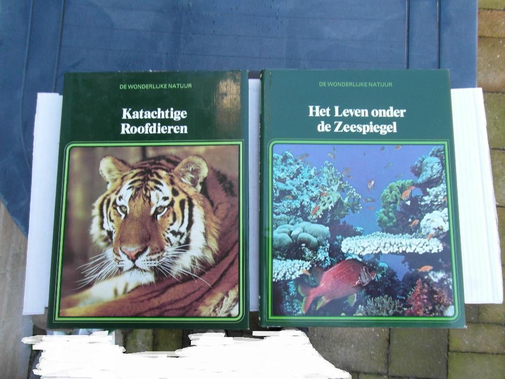 2 boeken De Wonderlijke Natuur Lekturama, Boeken, Ophalen of Verzenden, Zo goed als nieuw, Natuur algemeen