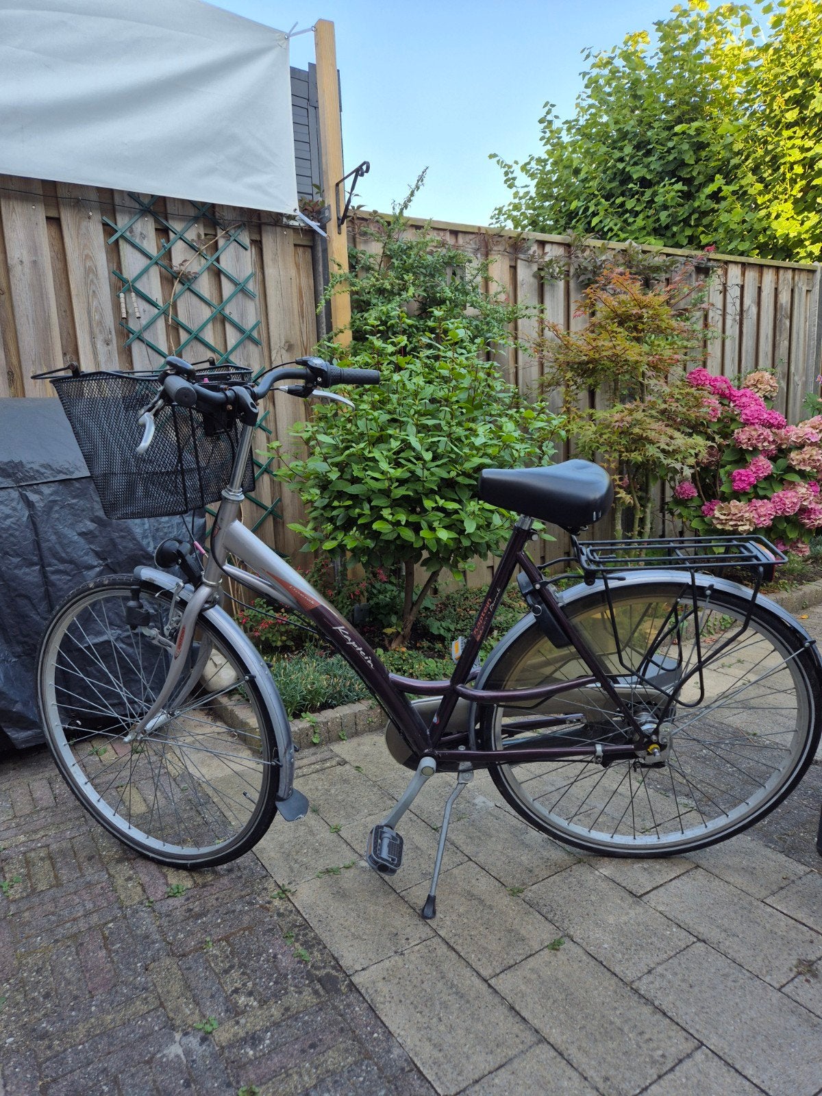 Damesfiets met mandje en bagagedrager, Gebruikt, Velgrem, Versnellingen, 50 tot 53 cm