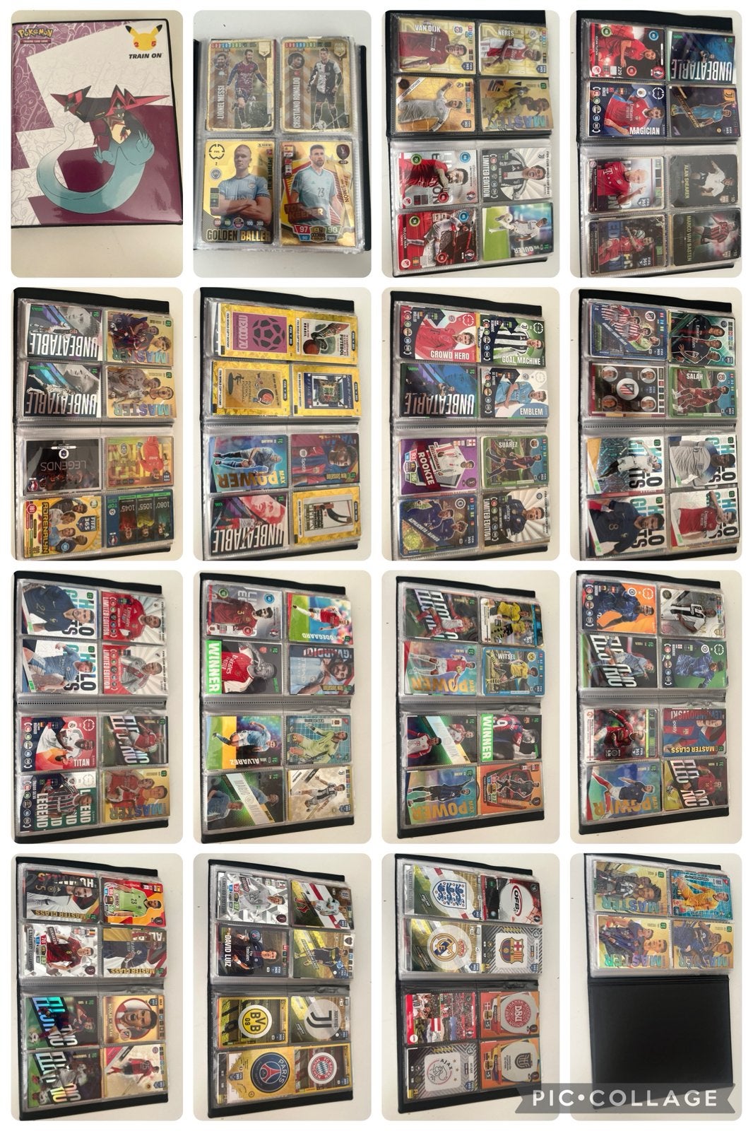 Panini voetbal kaarten, Verzenden, Gebruikt, Boek of Catalogus
