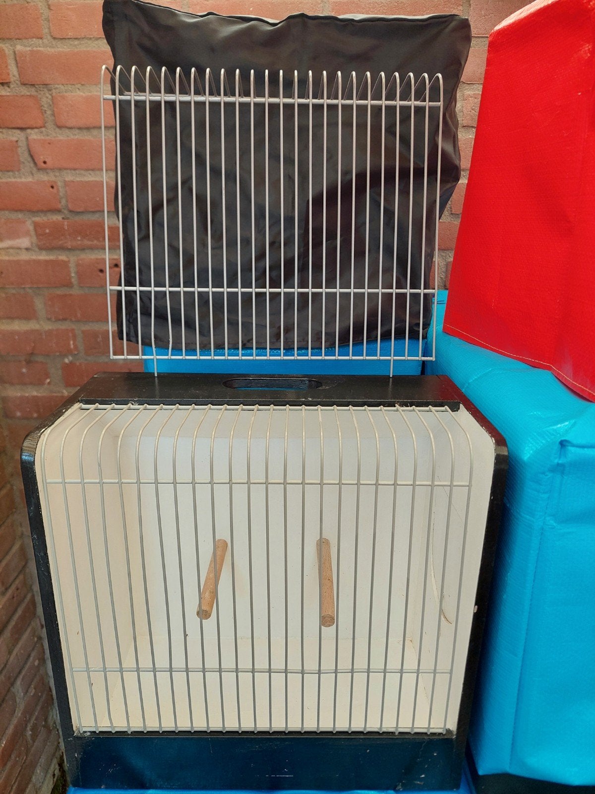 51 tentoonstellingskooien met nieuwe voorfronten, Dieren en Toebehoren, Mannelijk, Kleurkanarie