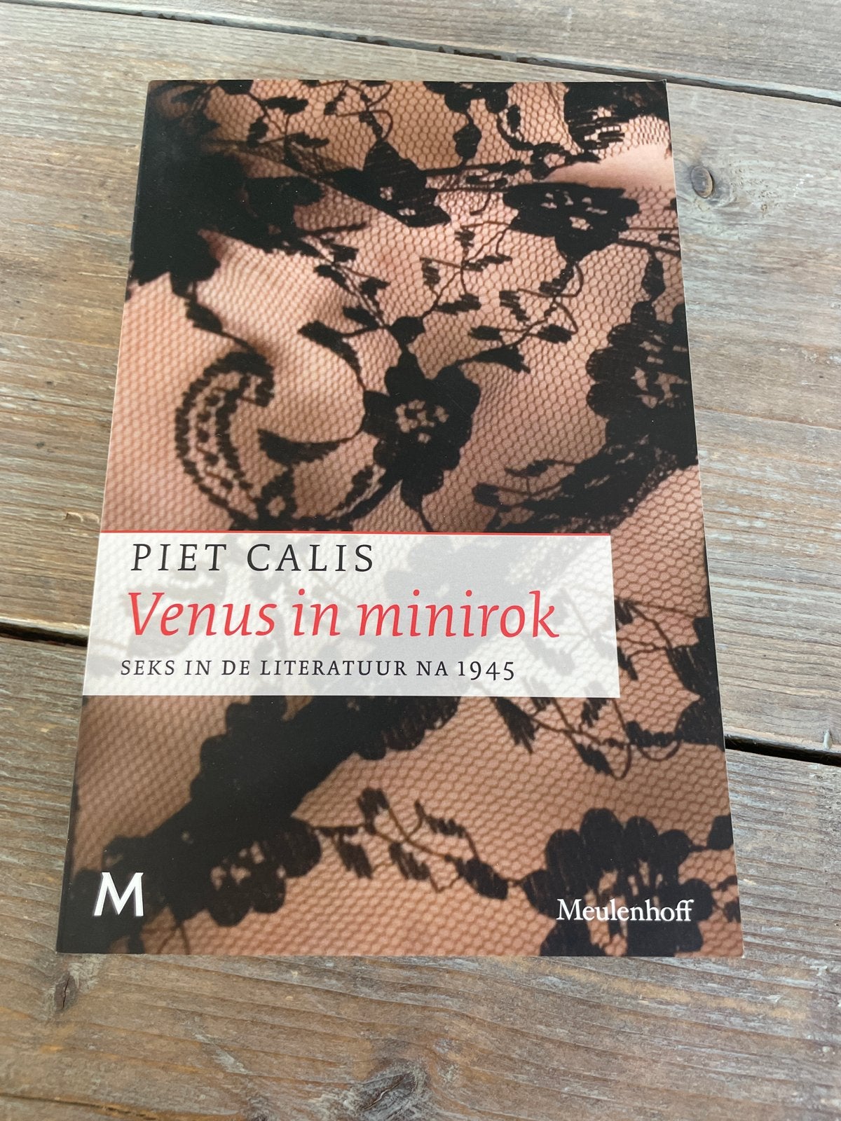 Venus in minirok - Seks in de literatuur na 1945, Boeken, Ophalen of Verzenden, Zo goed als nieuw, Nederland