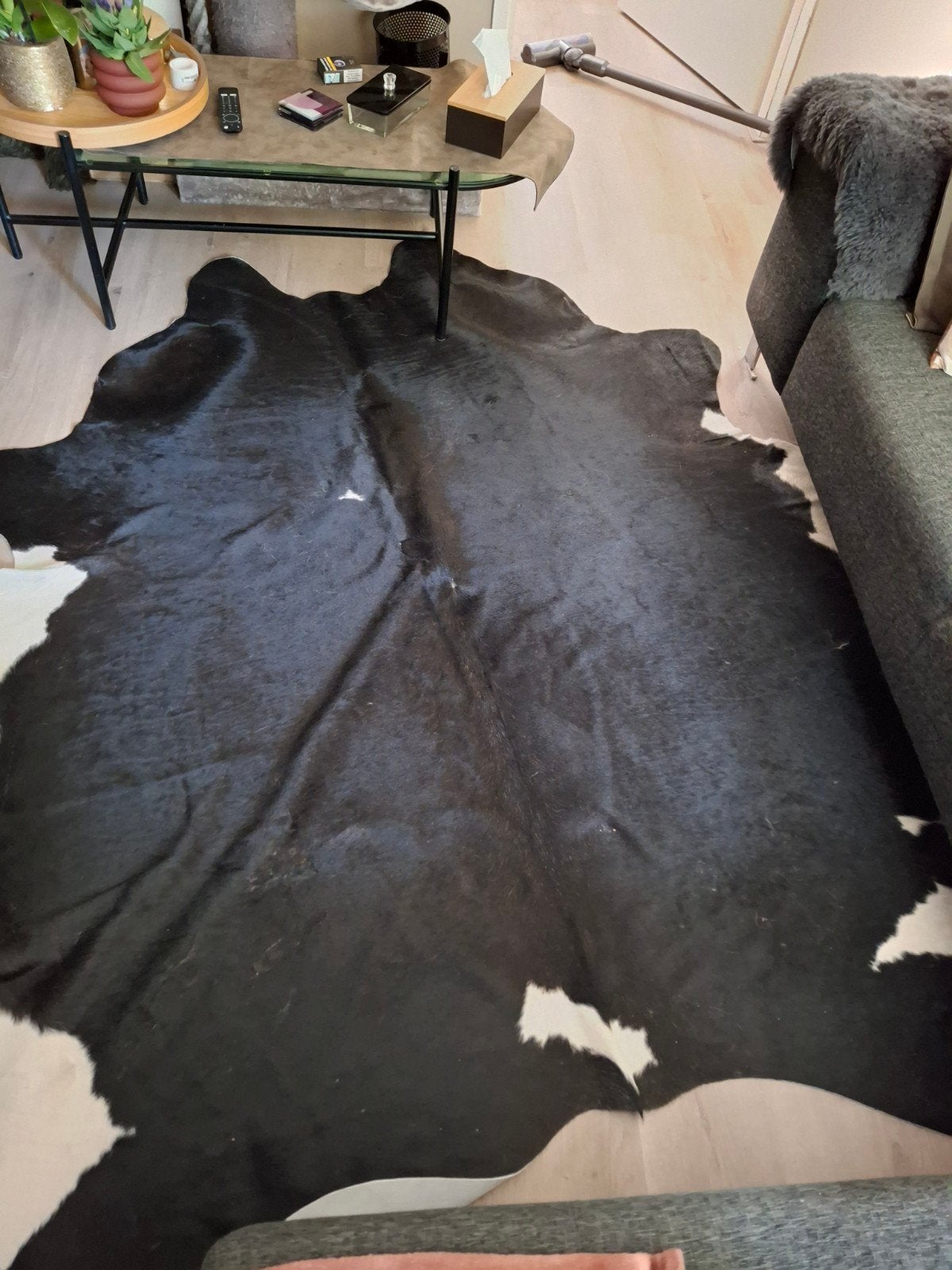 Groot koeienkleed, Ophalen, Nieuw, Rechthoekig, 200 cm of meer