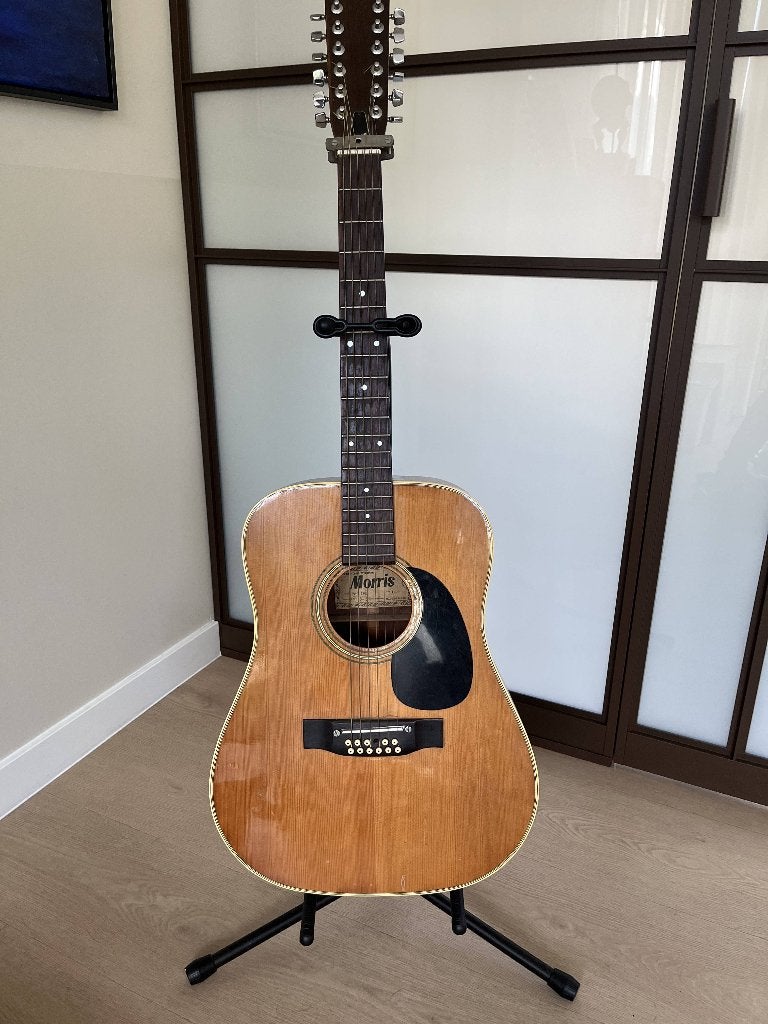 vintage gitaar, Muziek en Instrumenten, Ophalen, Gebruikt, Overige typen, 12-snarig