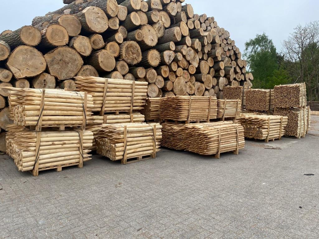 Kastanje en Robinia palen: uit voorraad leverbaar!, Tuin en Terras, Palen, Balken en Planken, Verzenden, Nieuw, 250 cm of meer