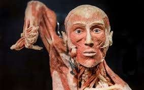 35% korting per persoon entree BODY WORLDS in Amsterdam, Tickets en Kaartjes, Drie personen of meer, Kortingskaart