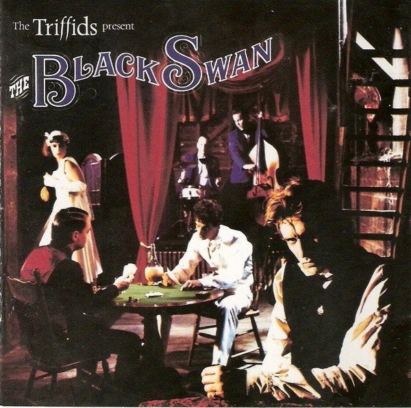 The Triffids Present The Black Swan CD, Ophalen of Verzenden, Gebruikt, Poprock, Album