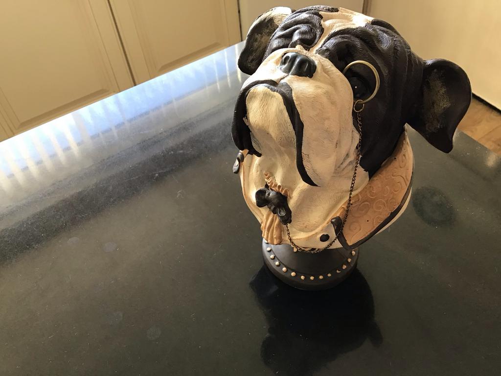 Decoratieve Bulldog met Lorgnet - Kunsstof, 20 cm hoog, Ophalen of Verzenden, Gebruikt, Dier