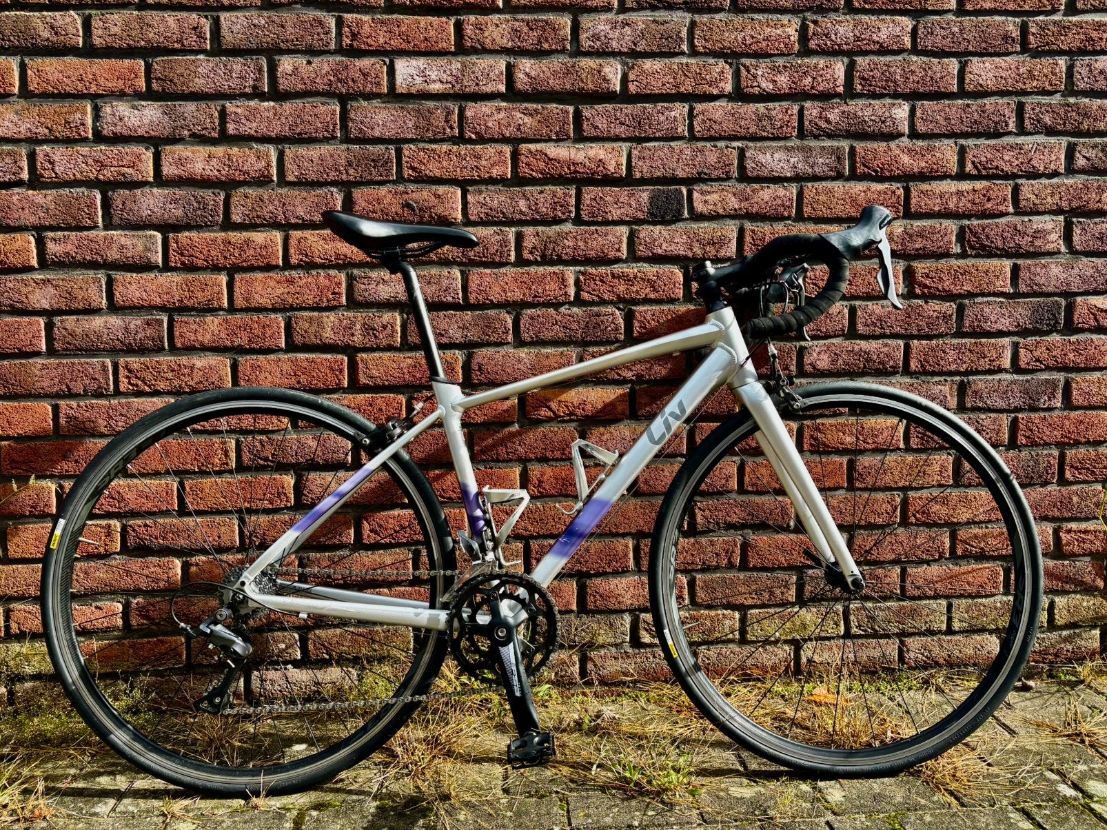 Liv Avail XS 2, Aluminium, Minder dan 49 cm, Zo goed als nieuw, Meer dan 20 versnellingen