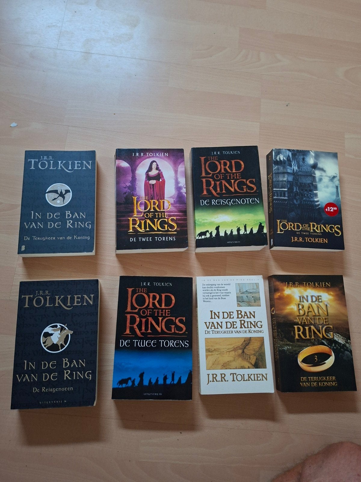 lord of the Rings boeken - in de ban van de Ring, Boeken, Ophalen of Verzenden, Zo goed als nieuw