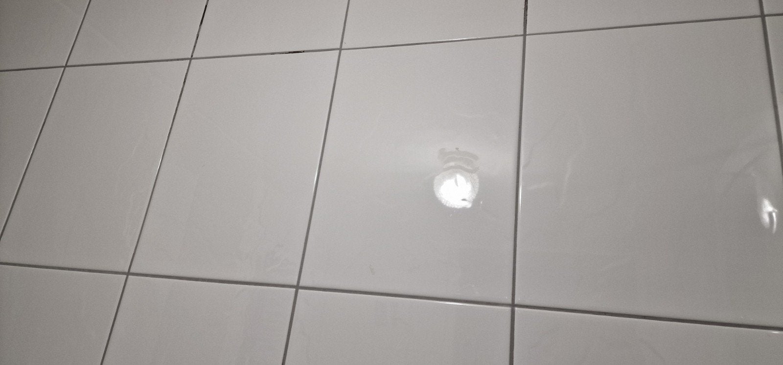 Villeroy & Boch Badkamertegels SG19 Hoogglans Wit, Doe-het-zelf en Verbouw, Ophalen