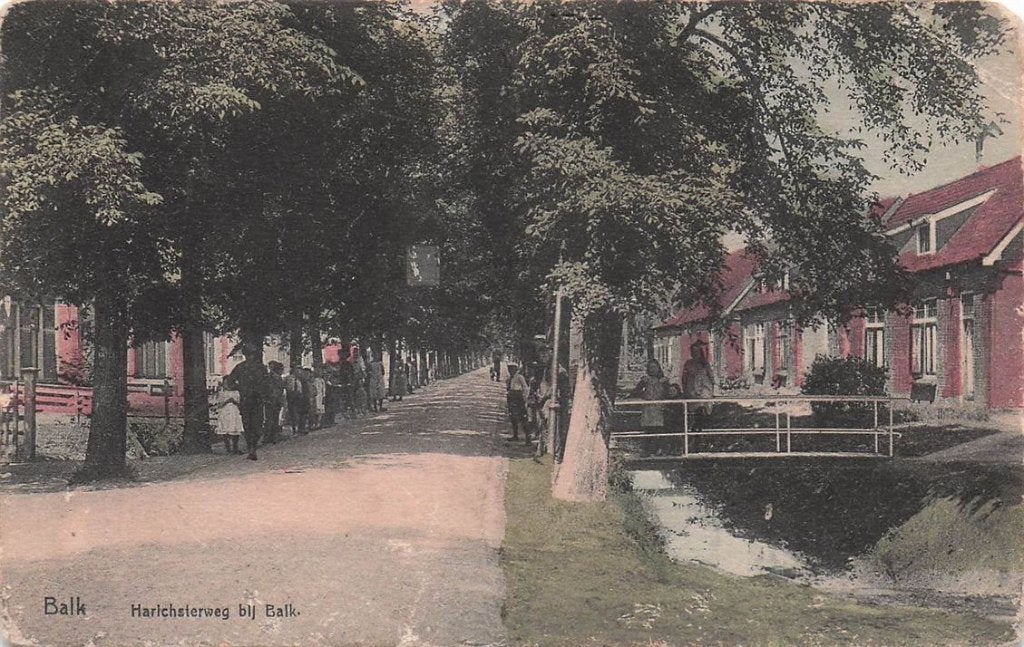 703-123-021 Balk Harichsterweg bij Balk, Ophalen of Verzenden, Voor 1920, Friesland