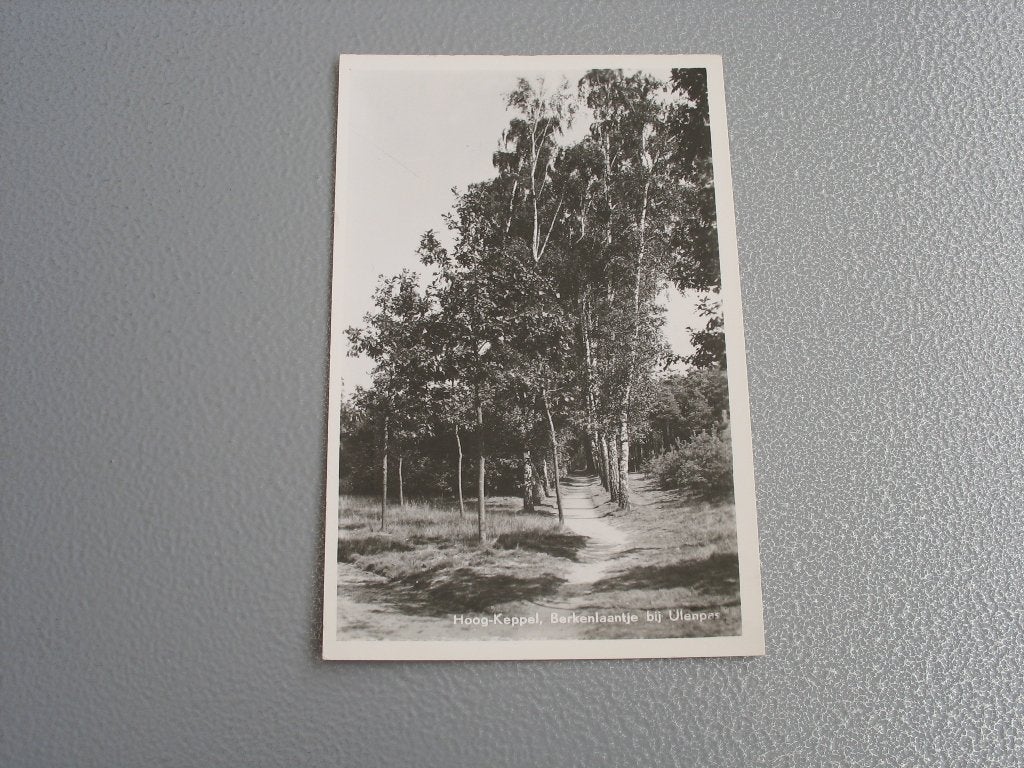Hoog Keppel Berkenlaantje, Ophalen of Verzenden, Voor 1920, Gelopen, Noord-Brabant