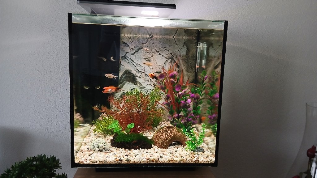 Aquarium, Ophalen, Superfish, Inclusief vissen, Gevuld zoetwateraquarium