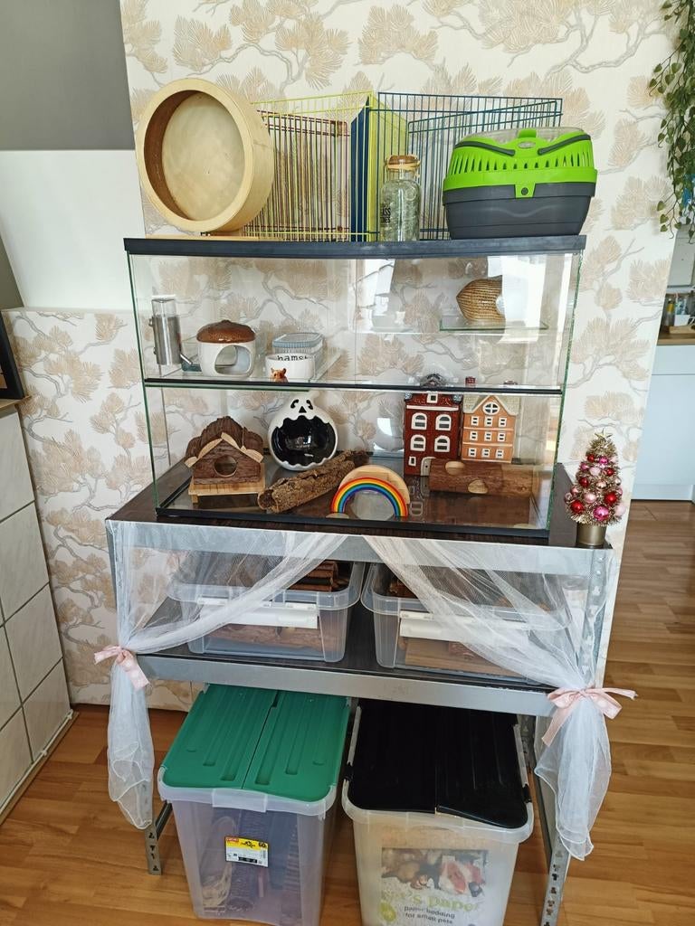 Hamsterscaping – Terrarium 73 x 51 x 40 + Veel Accessoires, Ophalen, Hok, Minder dan 60 cm
