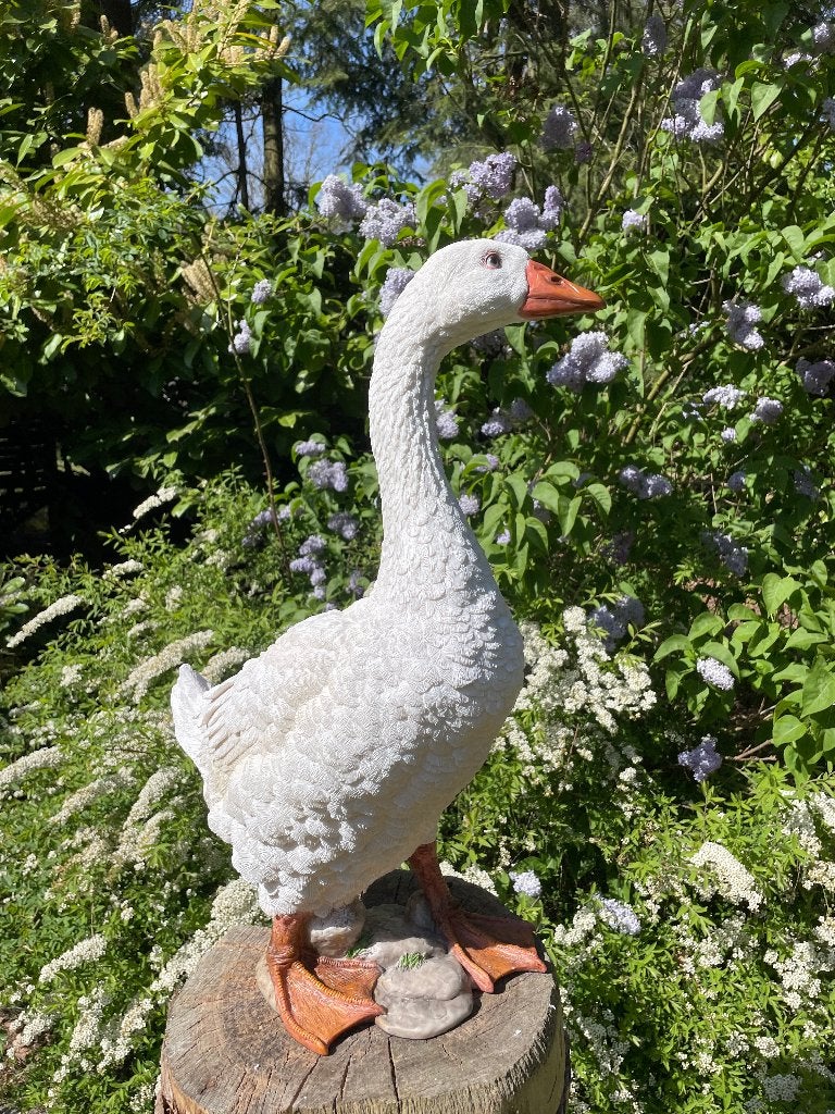 Beeld Gans wit, tuin, zwembad, vijver, boerderij 60cm, Tuin en Terras, Ophalen, Nieuw, Kunststof, Dierenbeeld
