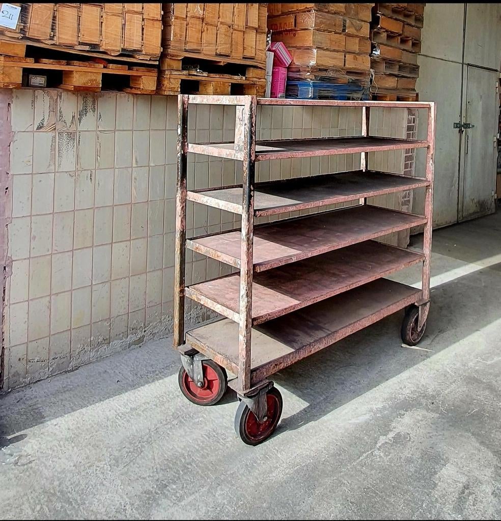 Industriële Trolley met Uitneembare Planken, Ophalen, Gebruikt