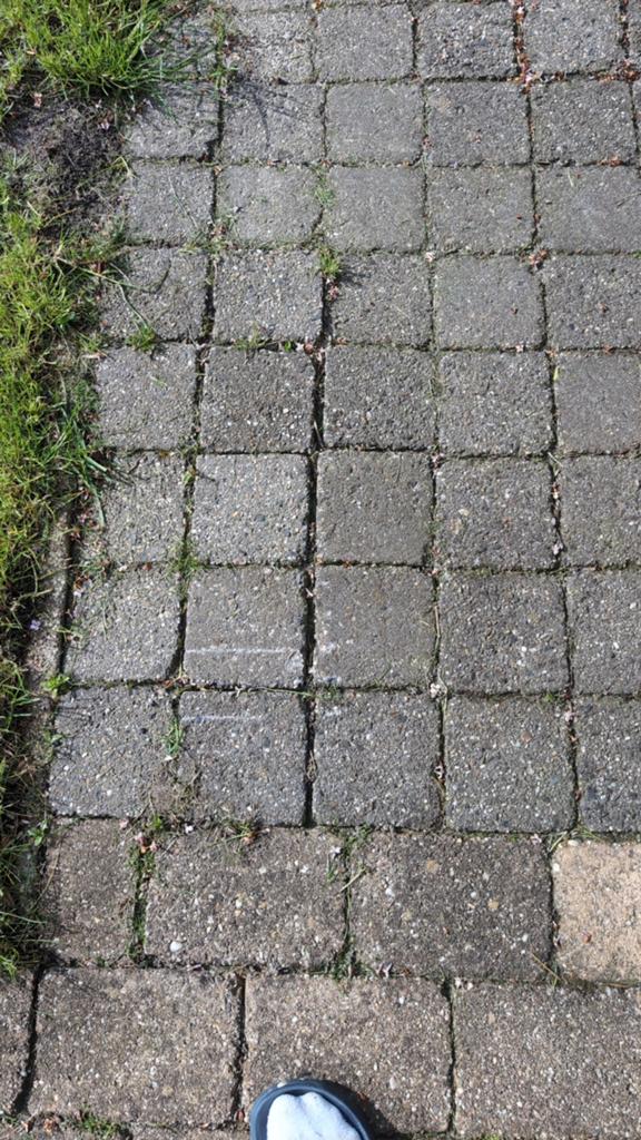 Terrastegels!, Ophalen, Beton, Terrastegels