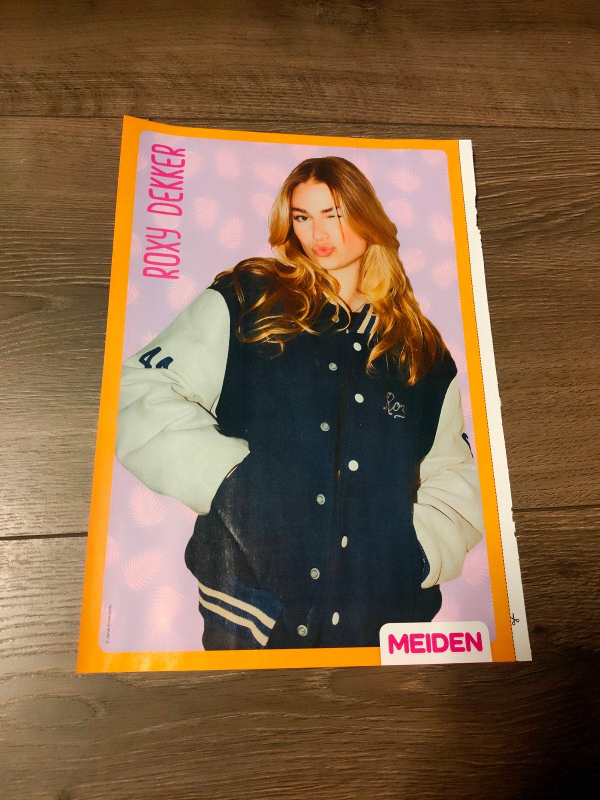 Meiden - Roxy Dekker Poster, Ophalen of Verzenden, Nieuw, A1 t/m A3