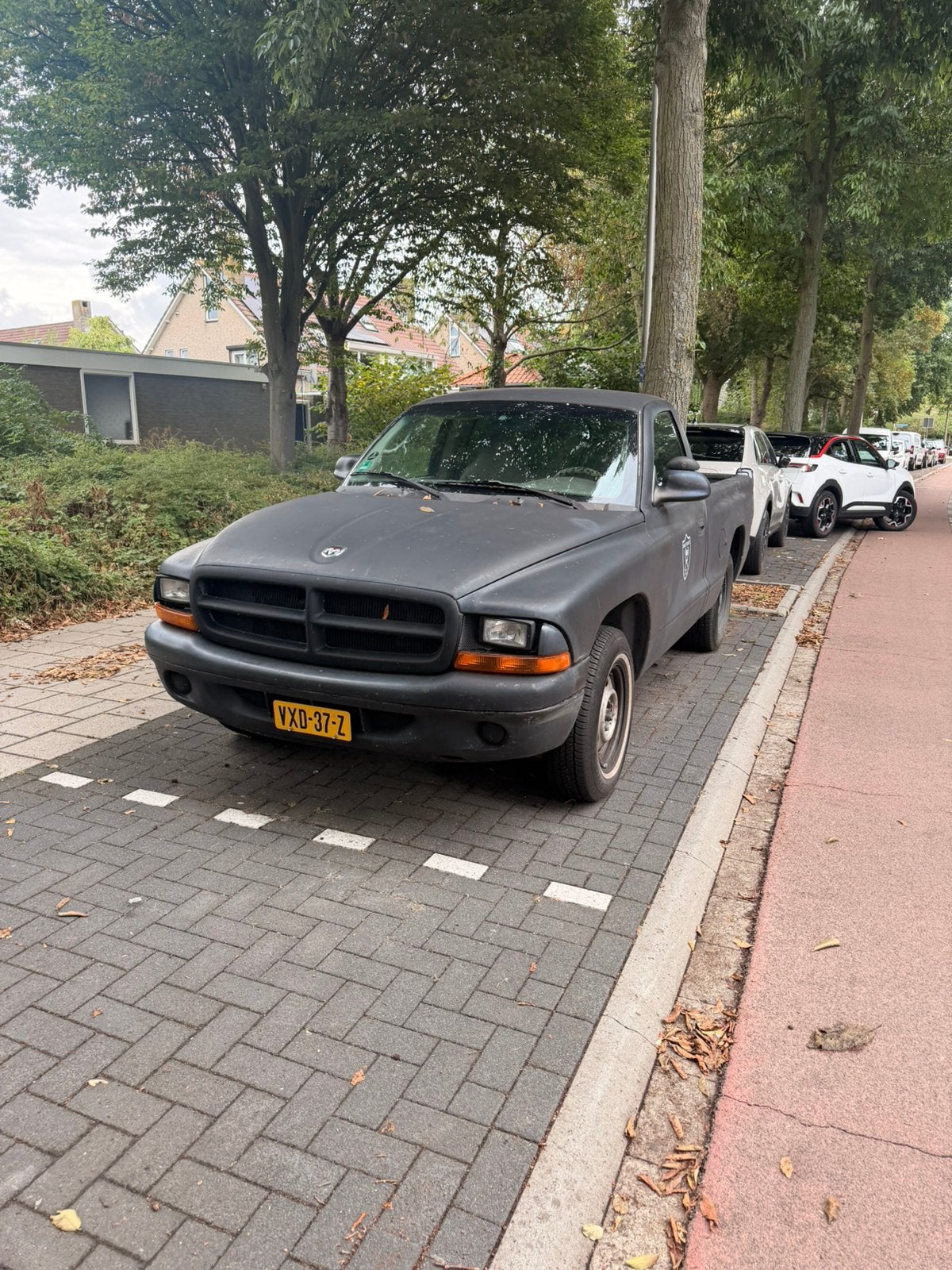 Dodge dakota 2001 Zwart, Zwart, Chrysler, 175 pk, 3 stoelen