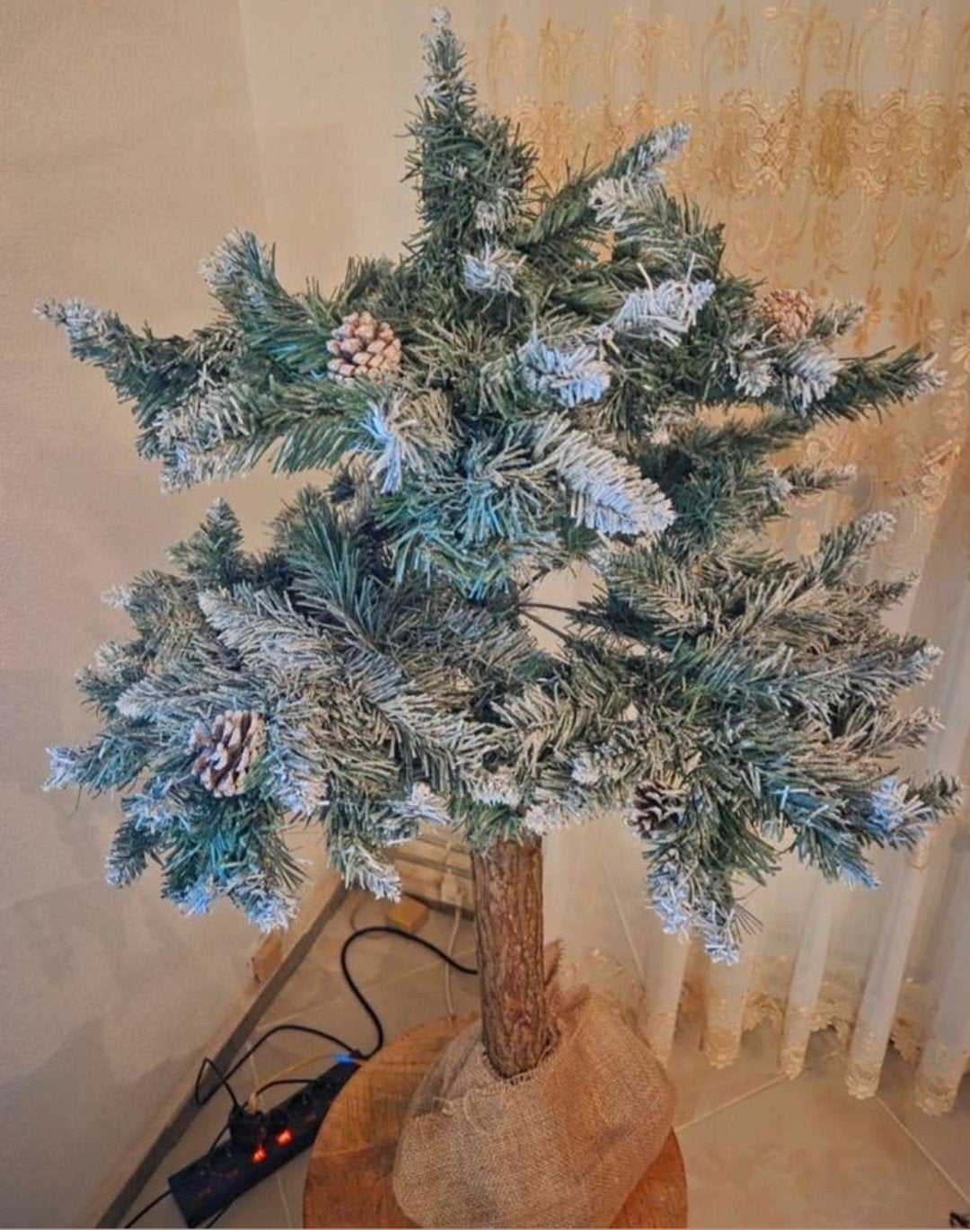 Kerstboom op stam, Ophalen, Gebruikt