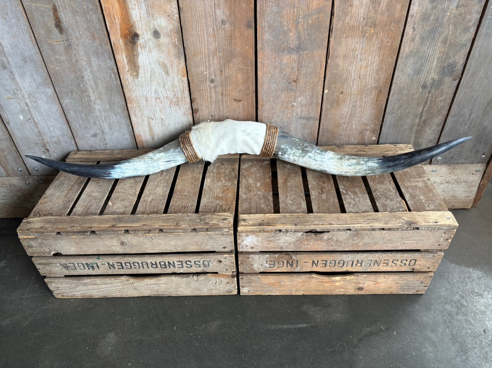 Mooie stoere Bullbar! (3), Verzamelen, Ophalen, Nieuw, Overige soorten, Overige typen