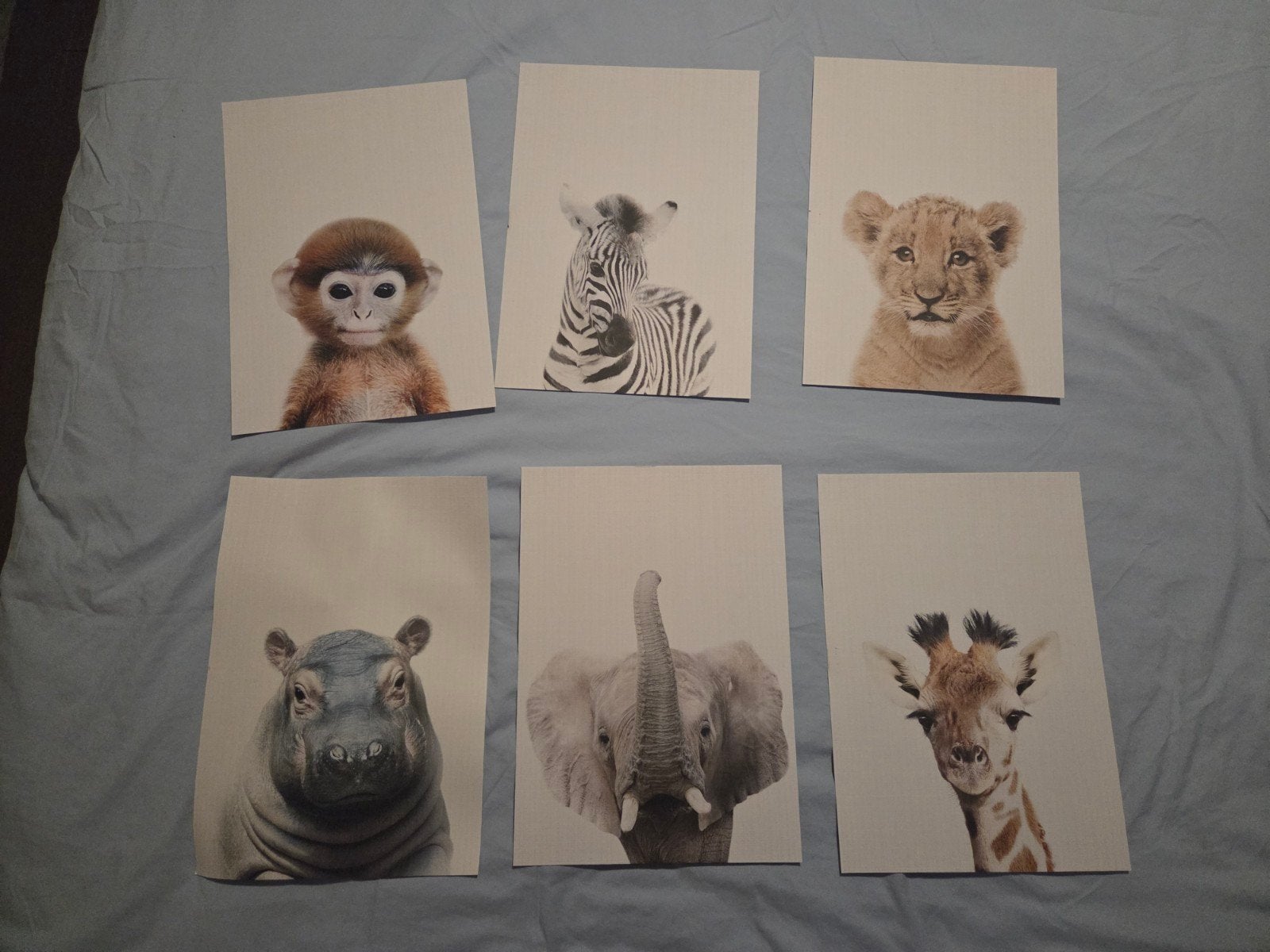 Set van 6 Baby Dieren Prints - Kinderkamer Decoratie, Huis en Inrichting, Woonaccessoires | Schilderijen, Tekeningen en Foto's