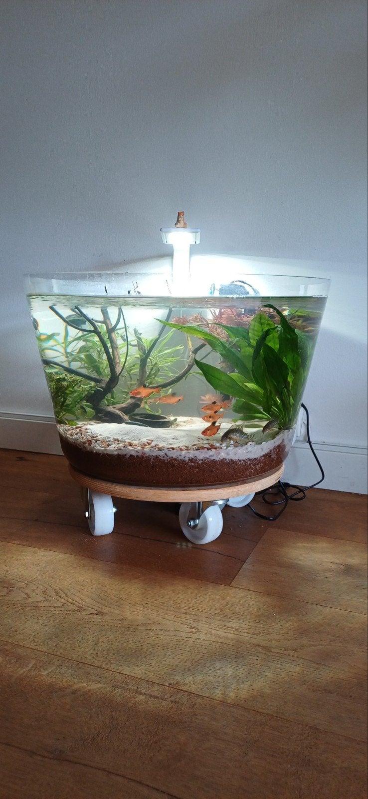 leeg rond aquarium, Dieren en Toebehoren, Vissen | Aquaria en Toebehoren, Ophalen, Leeg aquarium