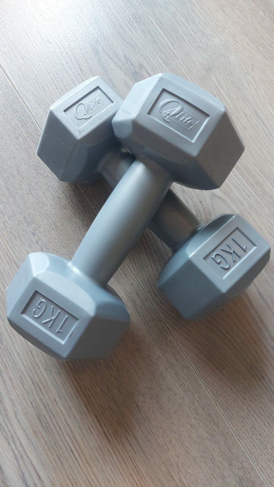 Dumbbells 0.5kg en 1kg - Ideaal voor thuisworkouts, Ophalen, Zo goed als nieuw, Armen, Dumbbell