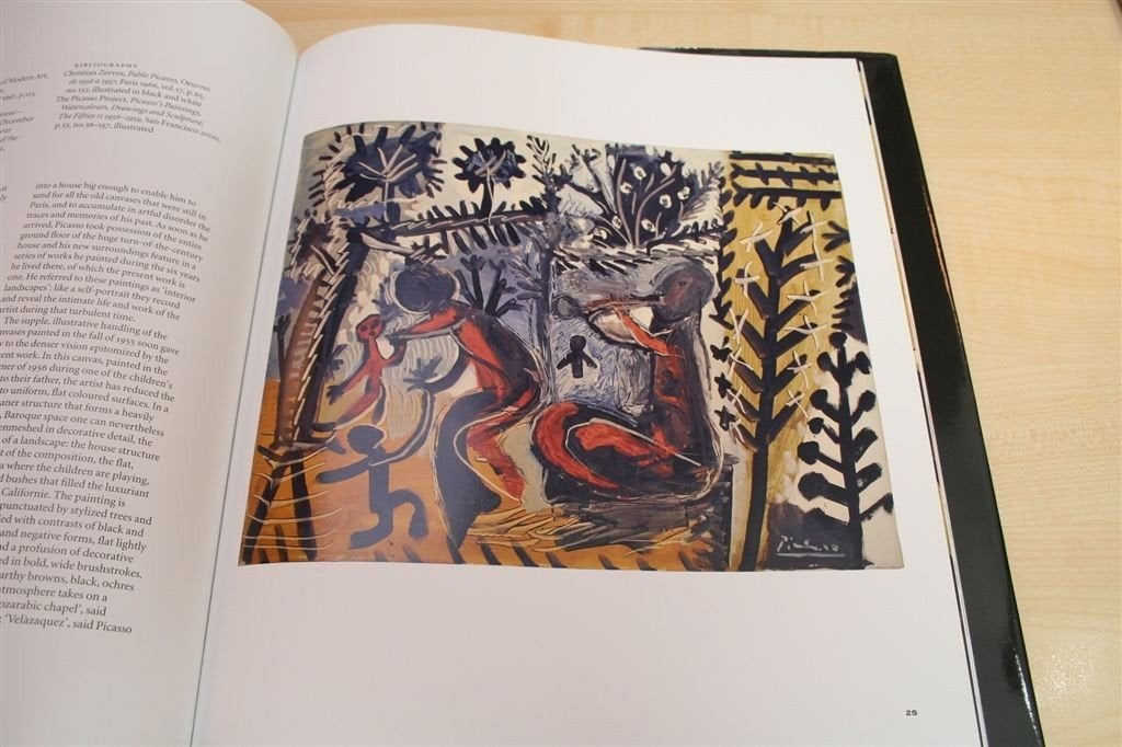 Pablo Picasso \[2010] — Tentoonstellingscatalogus Hongkong, Boeken, Ophalen of Verzenden, Gelezen