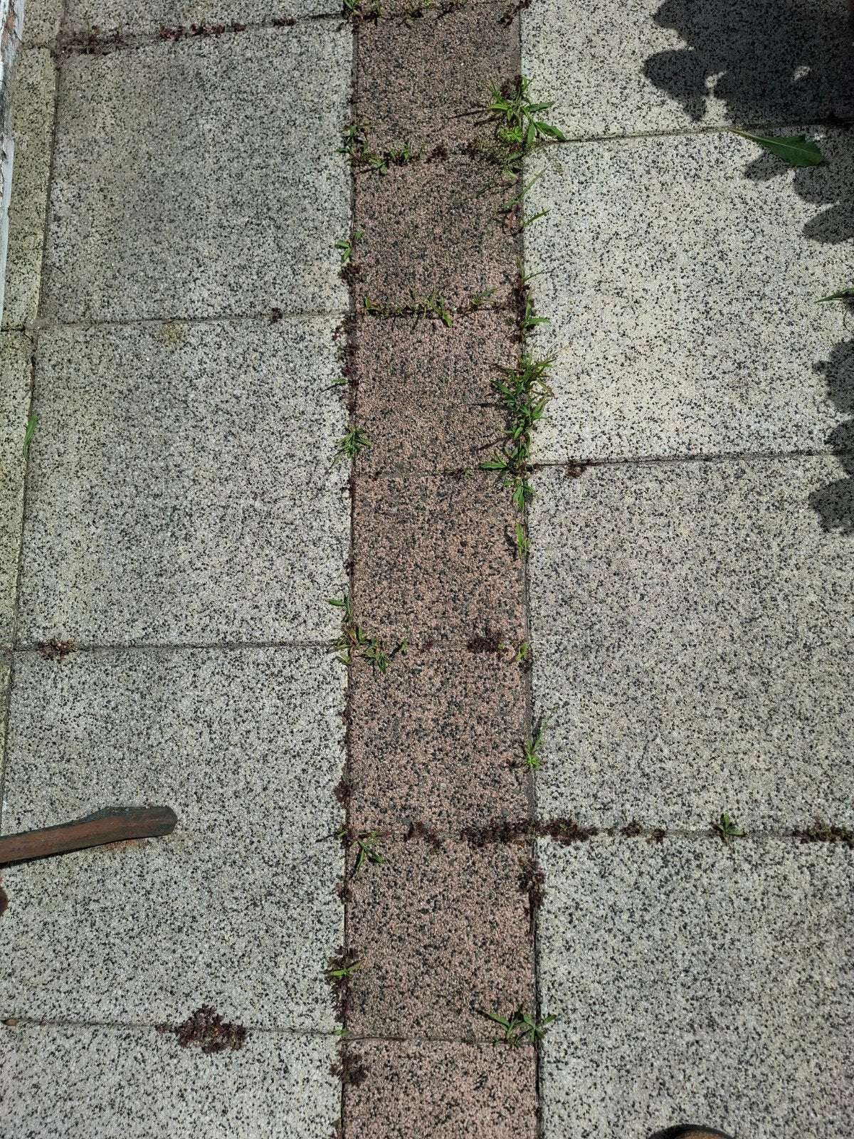 Gratis terrastegels, Ophalen, Gebruikt, 5 tot 10 m², Beton