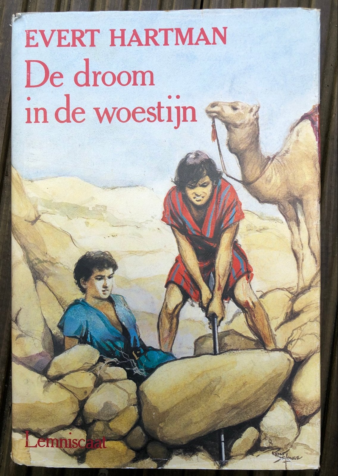 Evert Hartman - De droom in de woestijn & Morgen ben ik bete, Boeken, Ophalen of Verzenden, Gelezen, Fictie