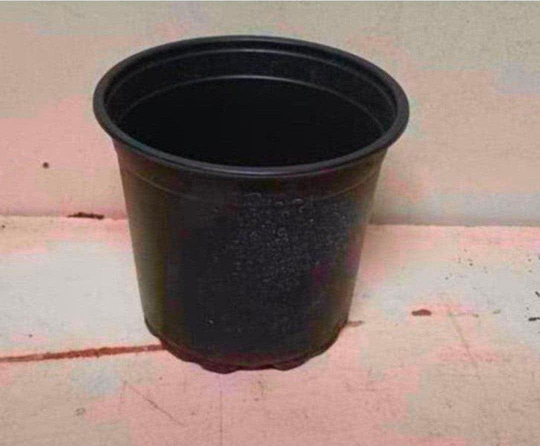 kweekpotten plantenpotten bloempotten 2 liter, Kunststof, Gebruikt, Rond, Ophalen of Verzenden