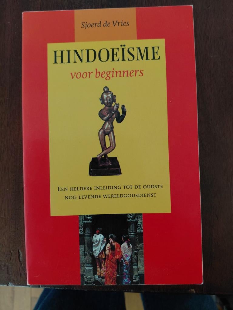 Hindoïsme voor beginners - Sjoerd de Vries, Ophalen of Verzenden, Zo goed als nieuw, Sjoerd de Vries, Hindoeïsme
